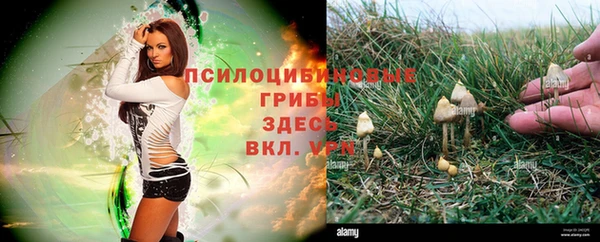 тгк Красноперекопск