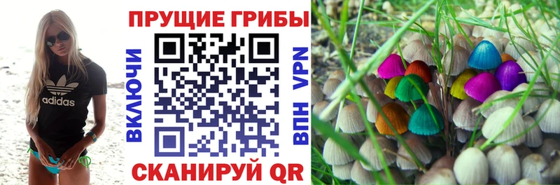 Галлюциногенные грибы мицелий  Купить  Тобольск 