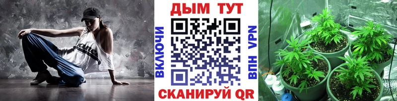 Шишки марихуана SATIVA & INDICA  Купить где  Тобольск 